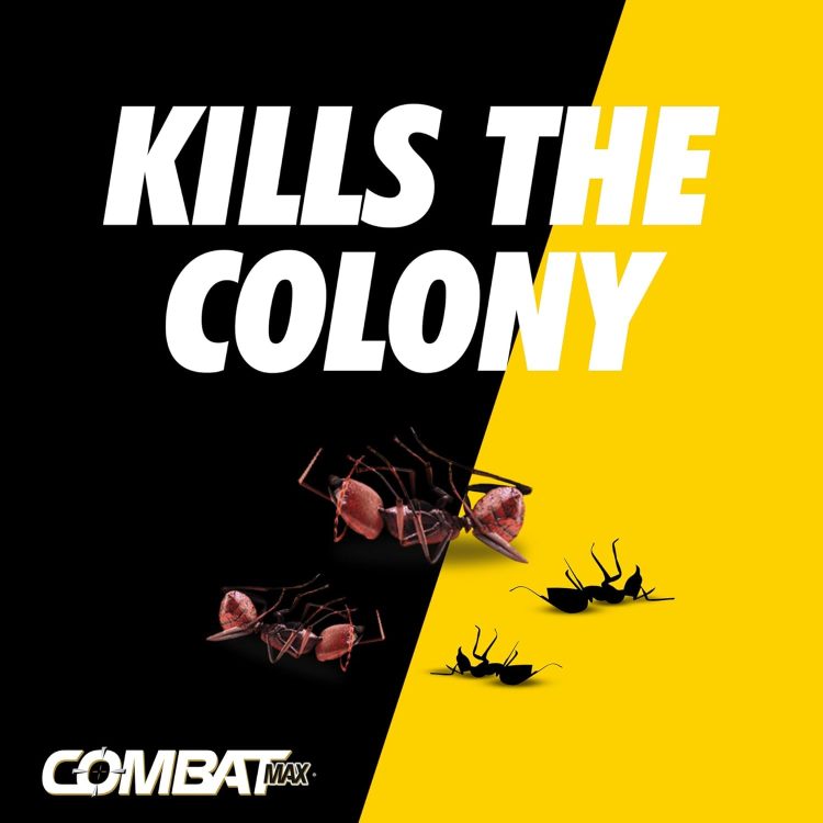 Combat Max 2 in 1 Ant Bait Station, 4 Count - Image 3
