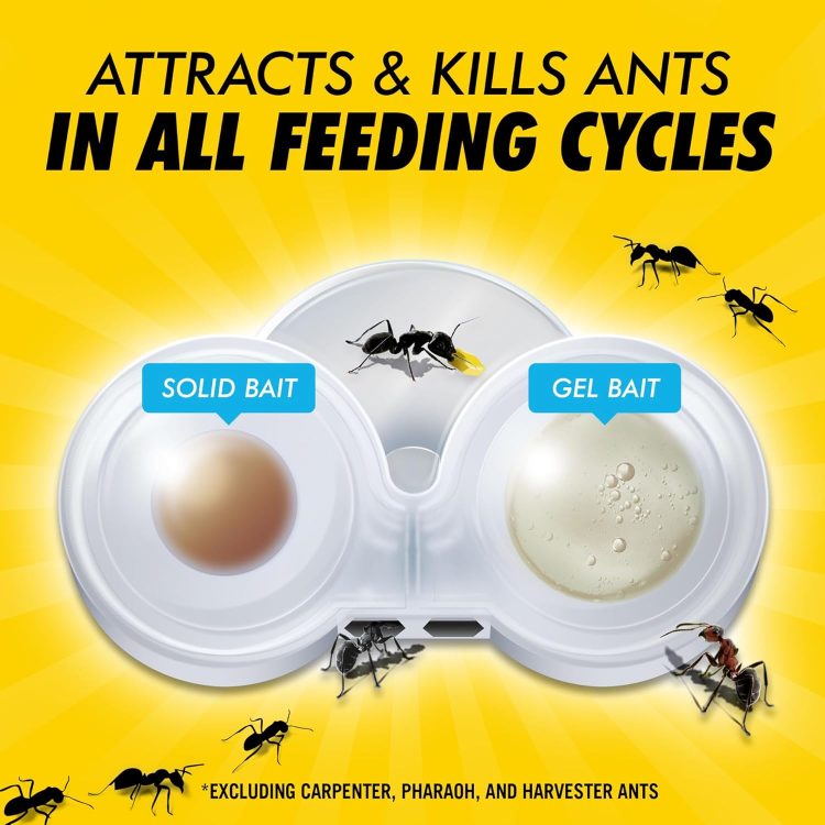Combat Max 2 in 1 Ant Bait Station, 4 Count - Image 5