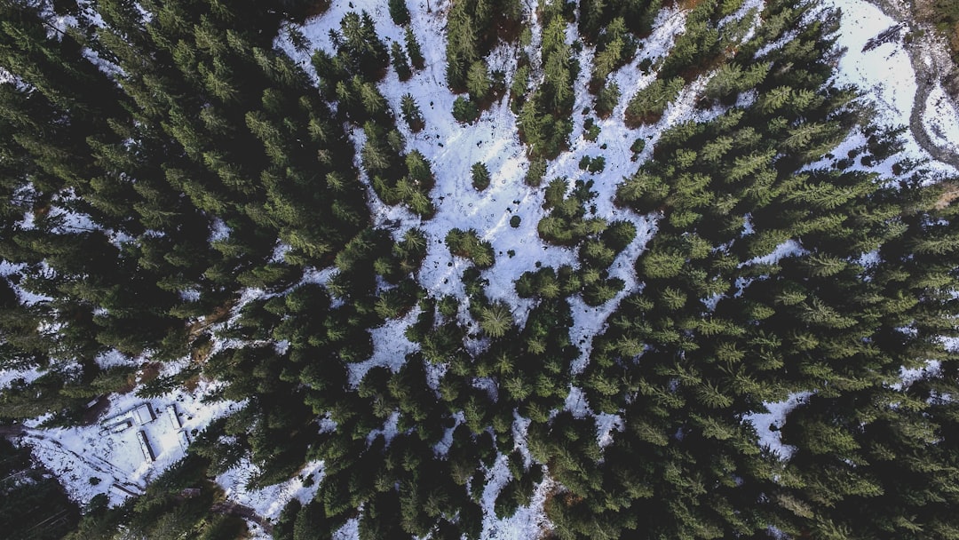 Unconventional Ways to Explore the Great Outdoors on a Budget
