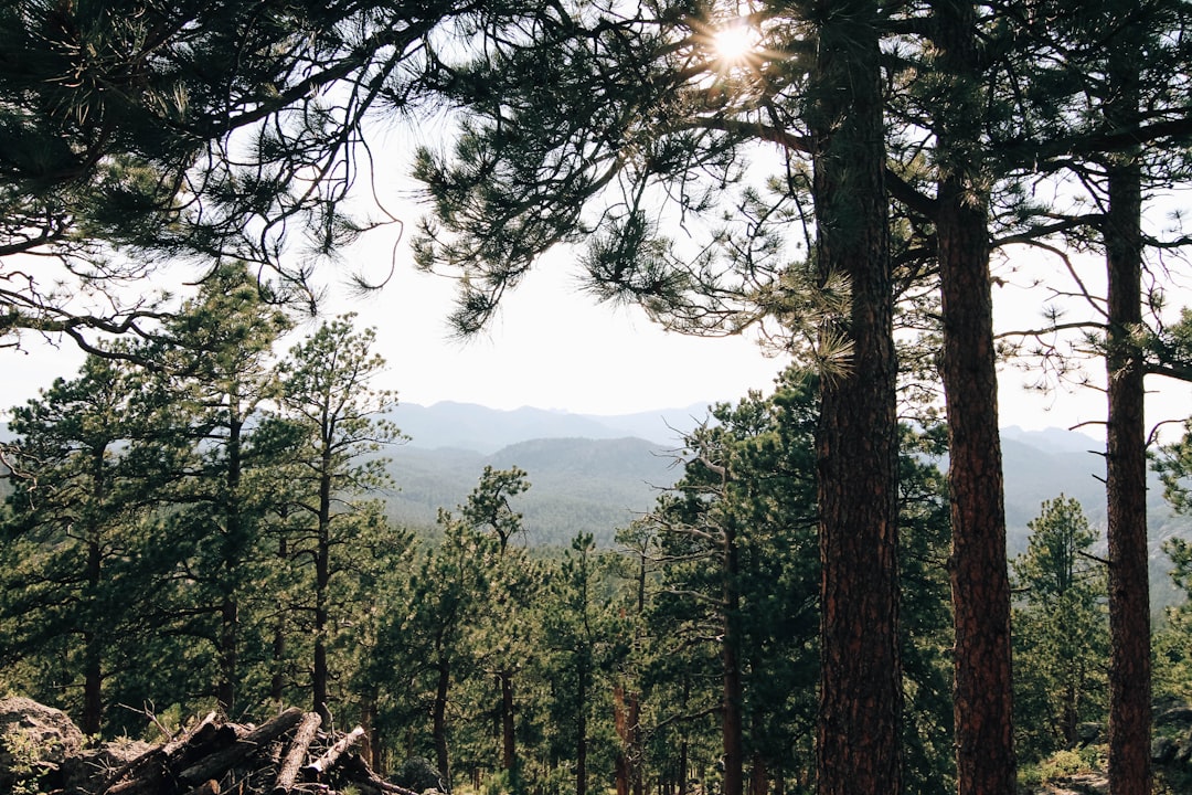 Embracing Nature: The Healing Power of Outdoor Adventures
